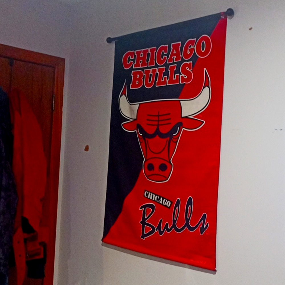 Chicago bulls NBA banner